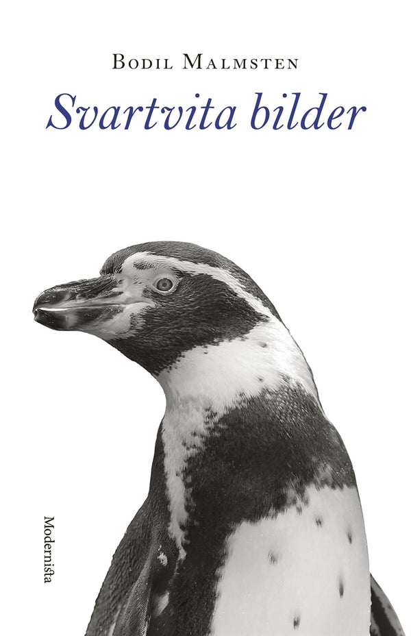Svartvita bilder – E-bok – Laddas ner-Digitala böcker-Axiell-peaceofhome.se