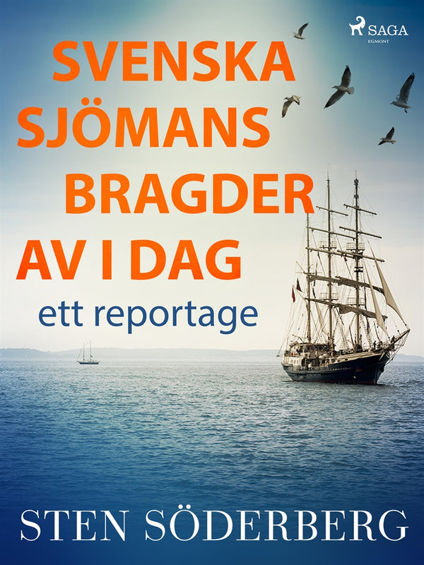 Svenska sjömansbragder av i dag: ett reportage – E-bok – Laddas ner-Digitala böcker-Axiell-peaceofhome.se