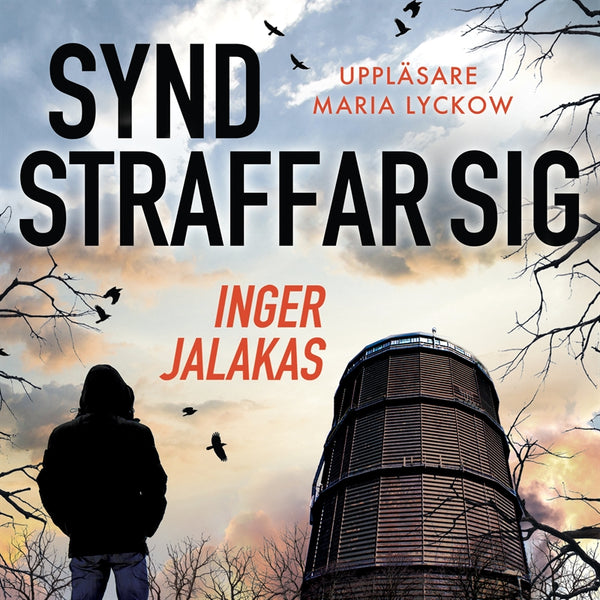 Synd straffar sig – Ljudbok – Laddas ner-Digitala böcker-Axiell-peaceofhome.se