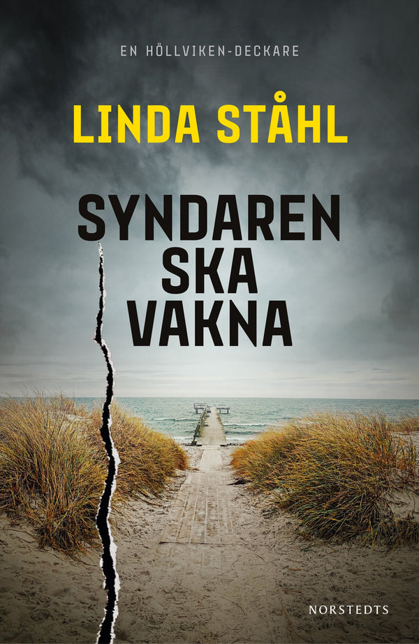 Syndaren ska vakna – E-bok – Laddas ner-Digitala böcker-Axiell-peaceofhome.se