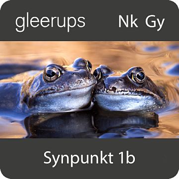 Synpunkt 1b, digitalt läromedel, elev, 12 mån-Digitala böcker-Gleerups Utbildning AB-peaceofhome.se