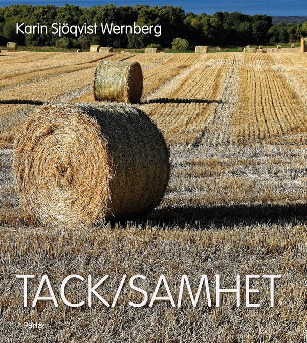 Tack/samhet – E-bok – Laddas ner-Digitala böcker-Axiell-peaceofhome.se