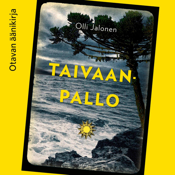 Taivaanpallo-Digitala böcker-Axiell-peaceofhome.se