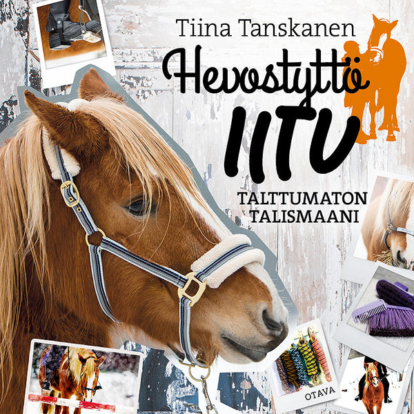 Talttumaton Talismaani – Ljudbok – Laddas ner-Digitala böcker-Axiell-peaceofhome.se