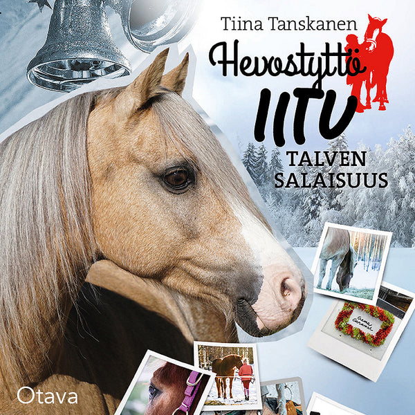 Talven salaisuus-Digitala böcker-Axiell-peaceofhome.se