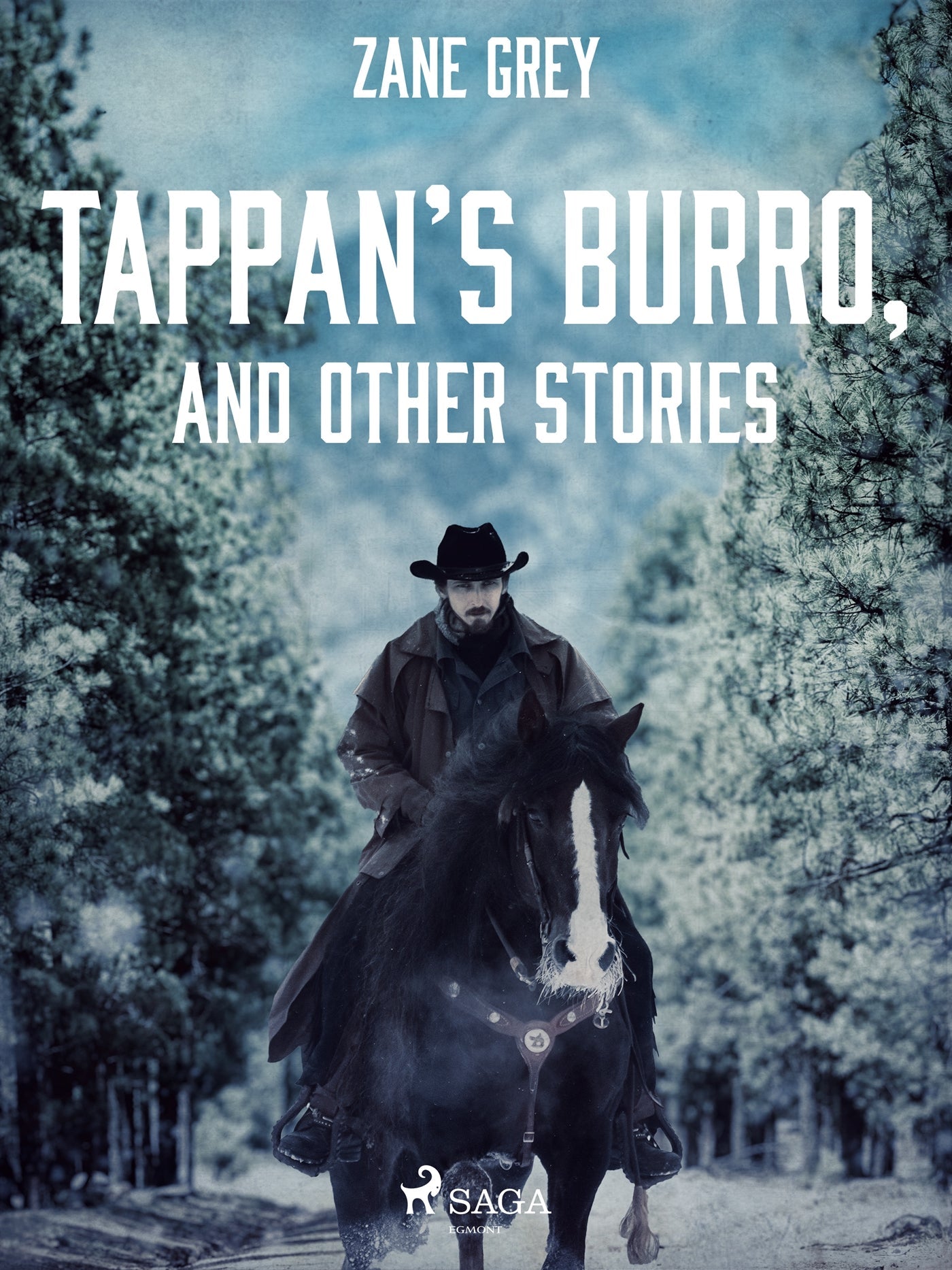 Tappan’s Burro, and Other Stories – E-bok – Laddas ner-Digitala böcker-Axiell-peaceofhome.se