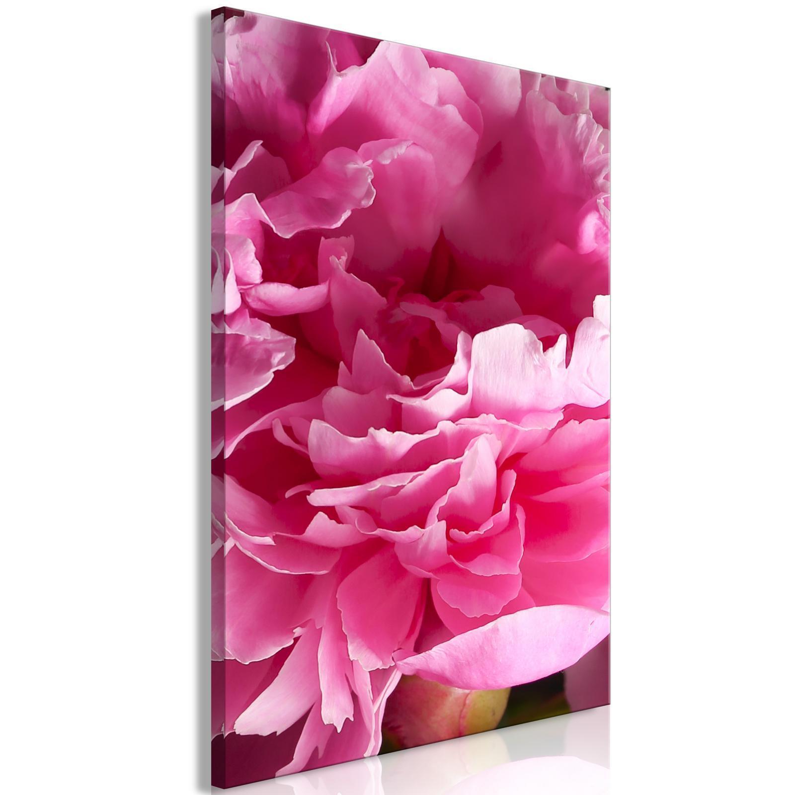 Tavla - Blossom of Beauty (1-part) - Pink Peony Flower Embraced by Nature-Tavlor-Artgeist-peaceofhome.se