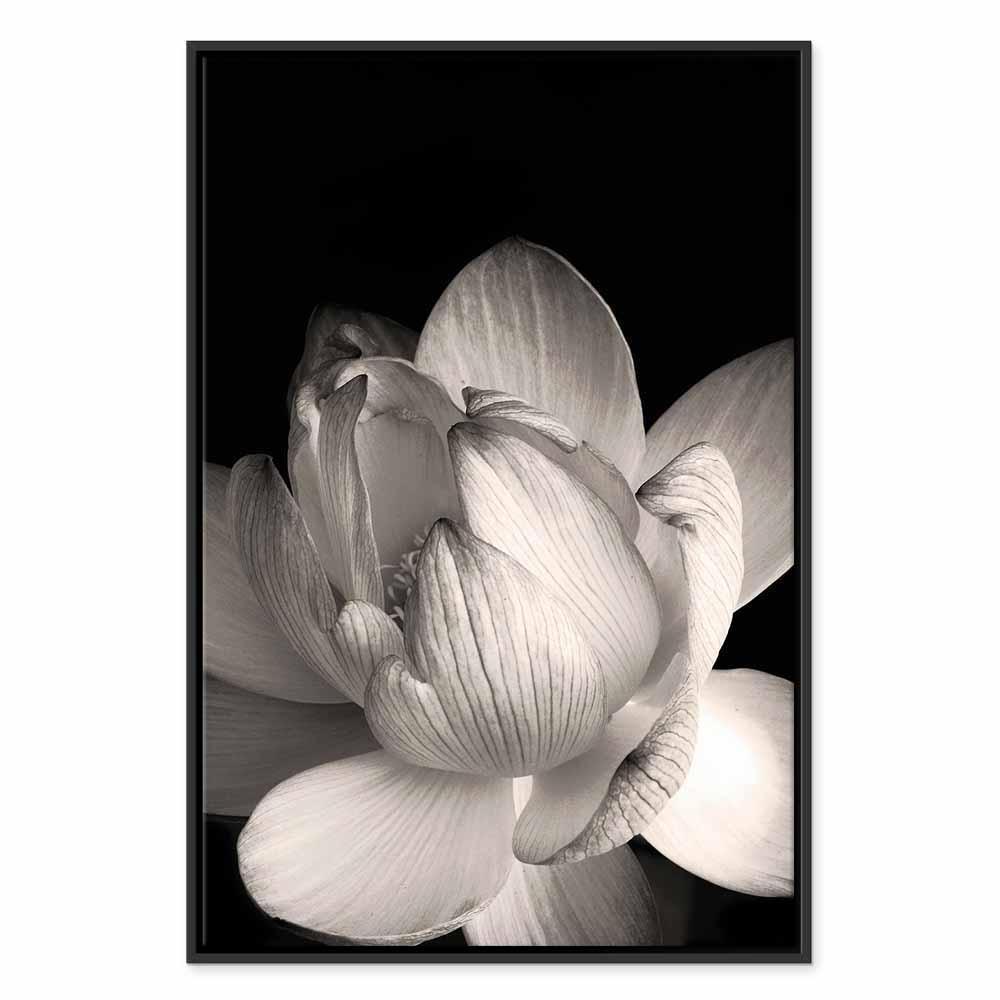 Tavla - Delicacy of Petals in Nature (1-part) - Flower in Black and White-Tavlor-Artgeist-peaceofhome.se