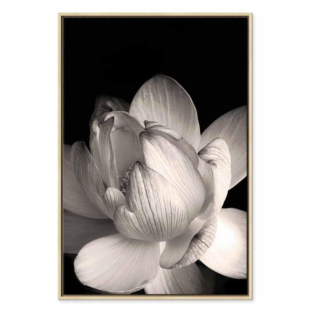 Tavla - Delicacy of Petals in Nature (1-part) - Flower in Black and White-Tavlor-Artgeist-peaceofhome.se