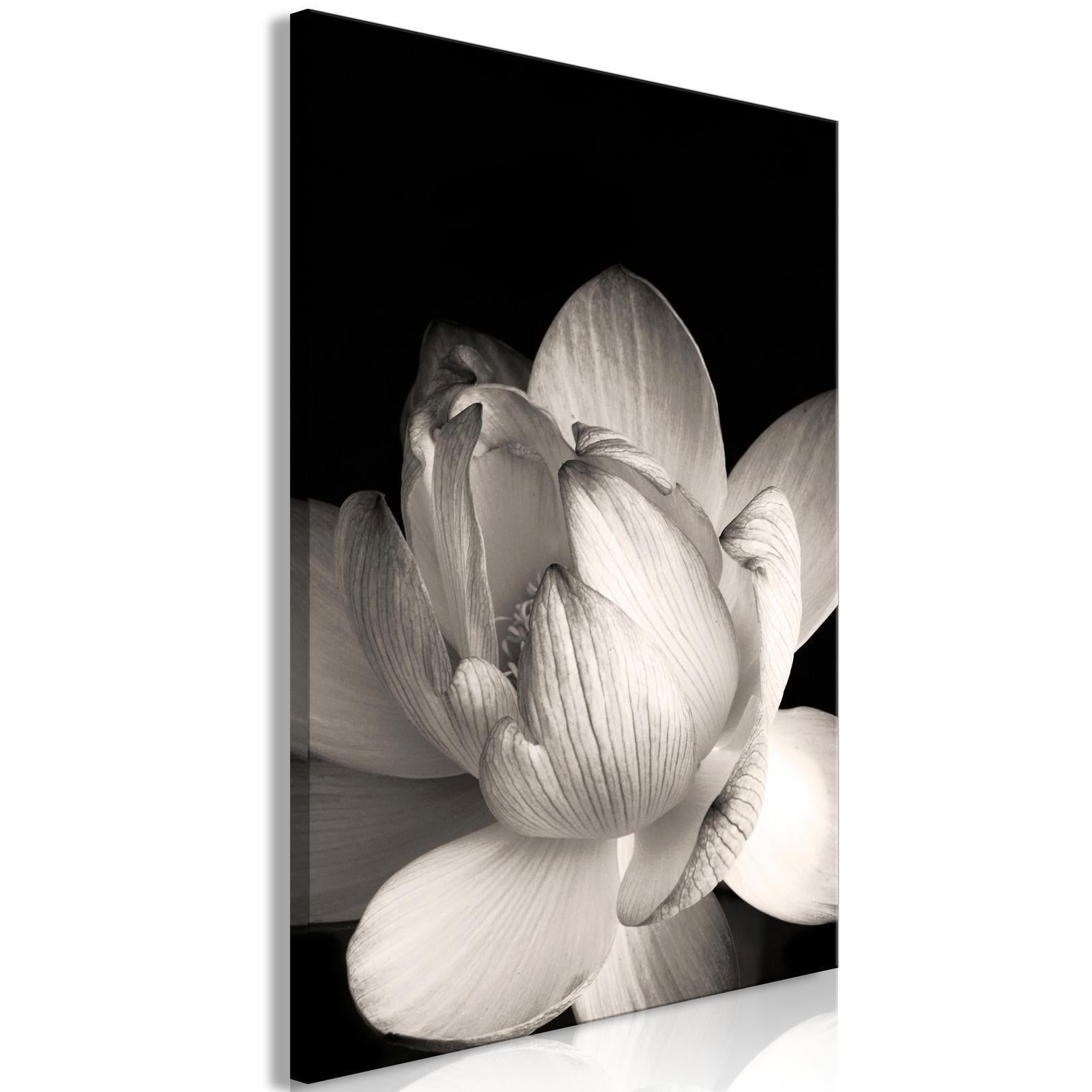 Tavla - Delicacy of Petals in Nature (1-part) - Flower in Black and White-Tavlor-Artgeist-peaceofhome.se