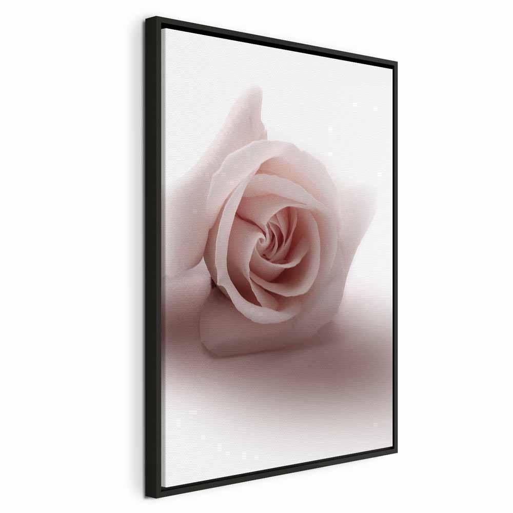 Tavla - Floral Glamour Glow (1-part) - Delicate and Pastel Pink Rose-Tavlor-Artgeist-peaceofhome.se