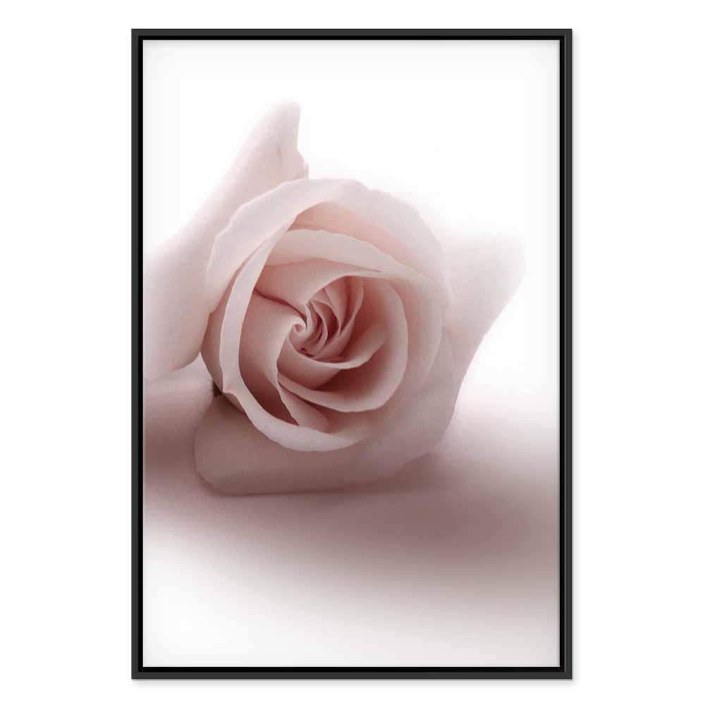 Tavla - Floral Glamour Glow (1-part) - Delicate and Pastel Pink Rose-Tavlor-Artgeist-peaceofhome.se