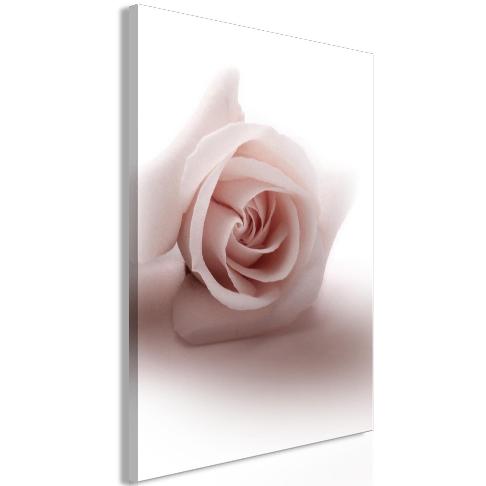 Tavla - Floral Glamour Glow (1-part) - Delicate and Pastel Pink Rose-Tavlor-Artgeist-peaceofhome.se