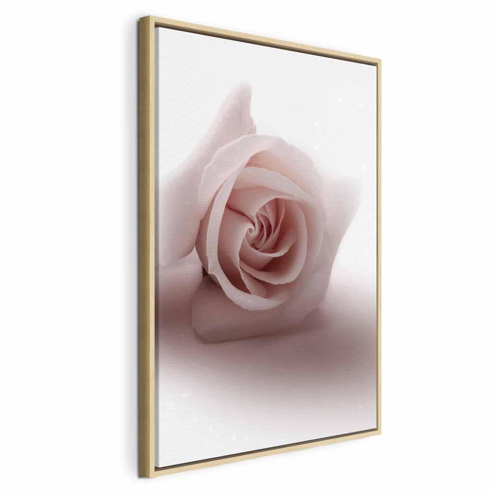 Tavla - Floral Glamour Glow (1-part) - Delicate and Pastel Pink Rose-Tavlor-Artgeist-peaceofhome.se