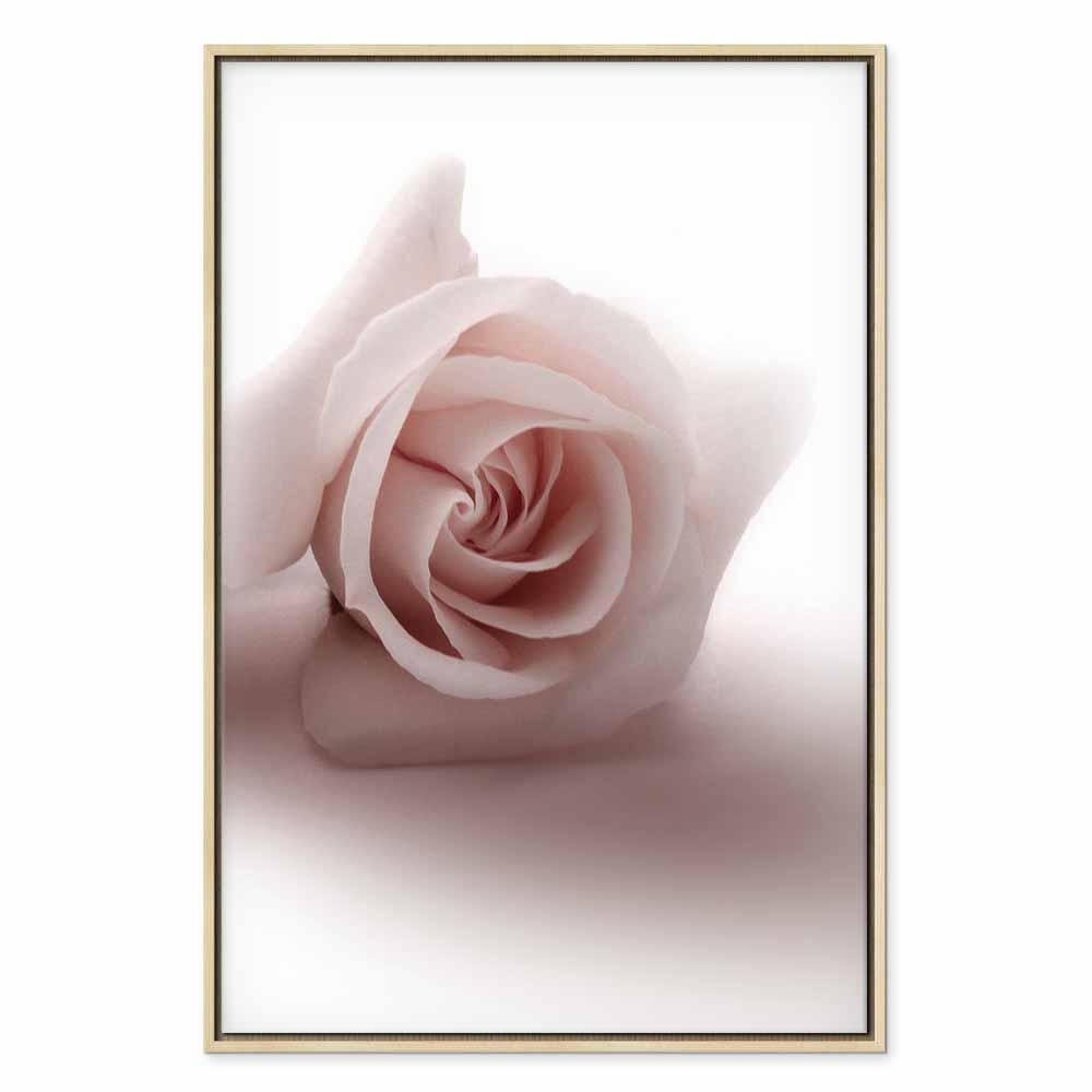 Tavla - Floral Glamour Glow (1-part) - Delicate and Pastel Pink Rose-Tavlor-Artgeist-peaceofhome.se