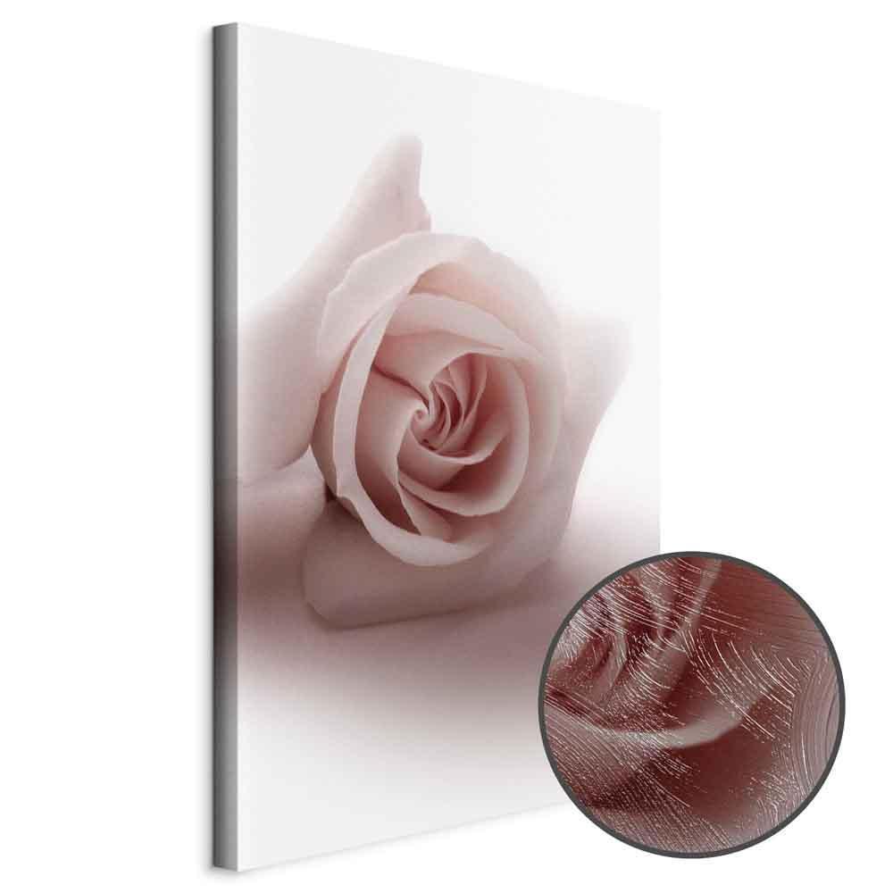 Tavla - Floral Glamour Glow (1-part) - Delicate and Pastel Pink Rose-Tavlor-Artgeist-peaceofhome.se