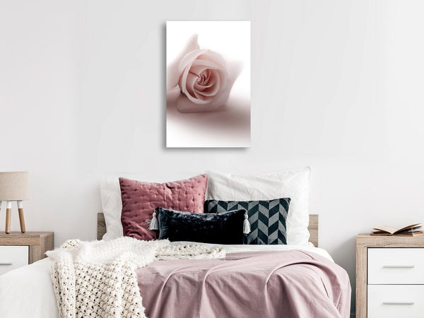 Tavla - Floral Glamour Glow (1-part) - Delicate and Pastel Pink Rose-Tavlor-Artgeist-peaceofhome.se