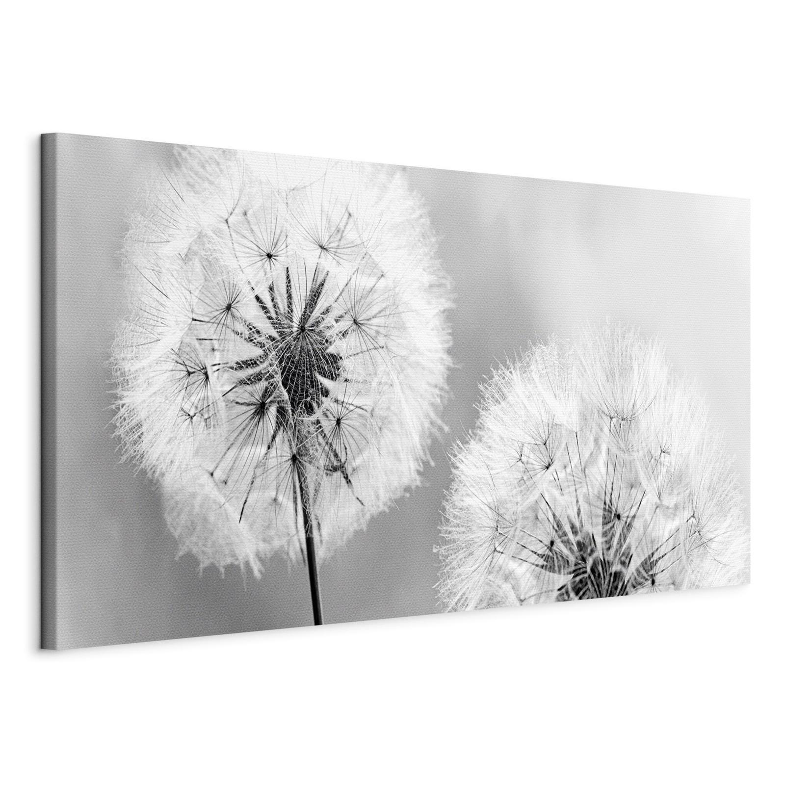 Tavla - Fluffy Dandelions (1 Part) Grey Wide-Tavlor-Artgeist-peaceofhome.se