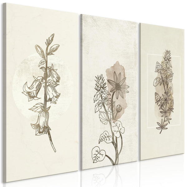 Tavla - Herbarium (3 Parts)-Tavlor-Artgeist-peaceofhome.se