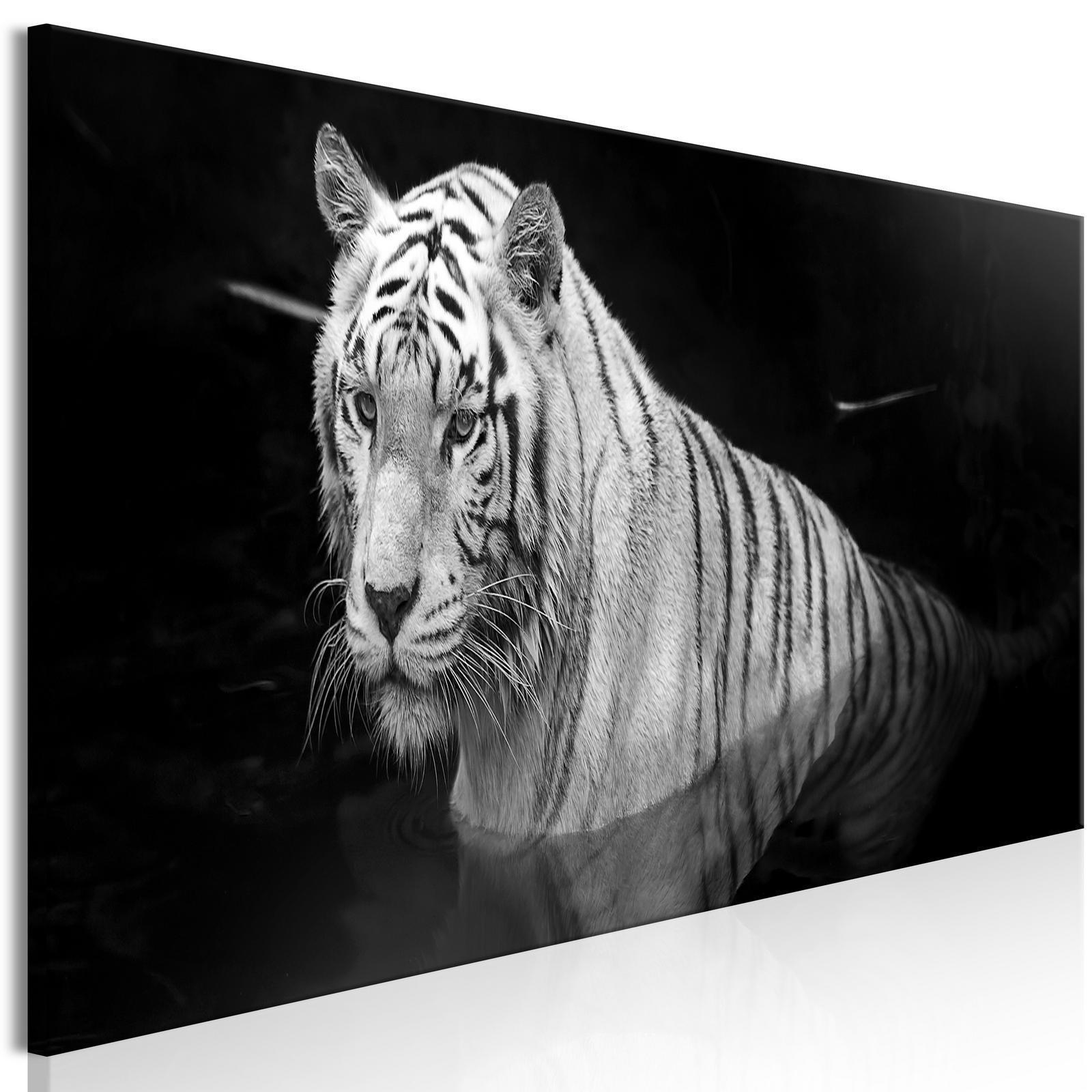 Tavla - Shining Tiger (1 Part) Black and White Narrow-Tavlor-Artgeist-peaceofhome.se