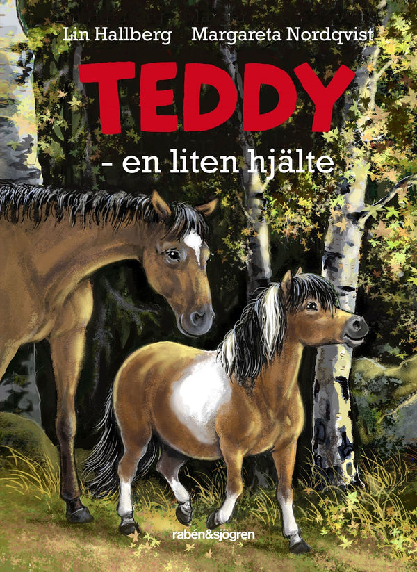 Teddy - en liten hjälte – Ljudbok – Laddas ner-Digitala böcker-Axiell-peaceofhome.se