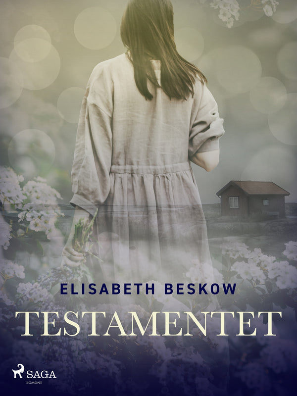 Testamentet – E-bok – Laddas ner-Digitala böcker-Axiell-peaceofhome.se