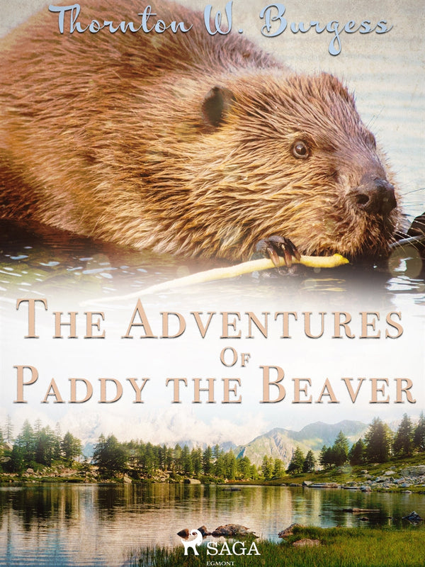 The Adventures of Paddy the Beaver – E-bok – Laddas ner-Digitala böcker-Axiell-peaceofhome.se