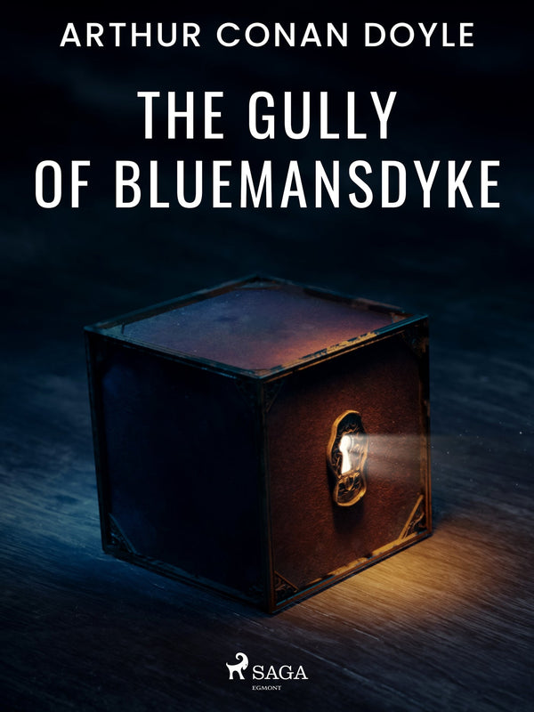 The Gully of Bluemansdyke – E-bok – Laddas ner-Digitala böcker-Axiell-peaceofhome.se