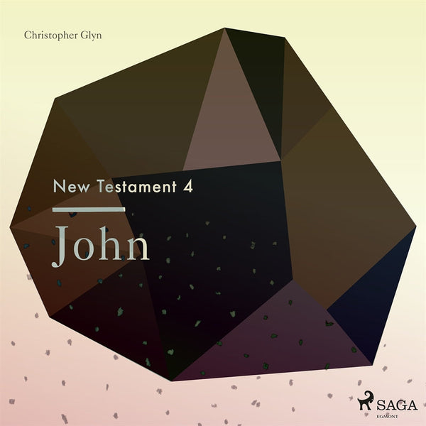 The New Testament 4 - John – Ljudbok – Laddas ner-Digitala böcker-Axiell-peaceofhome.se