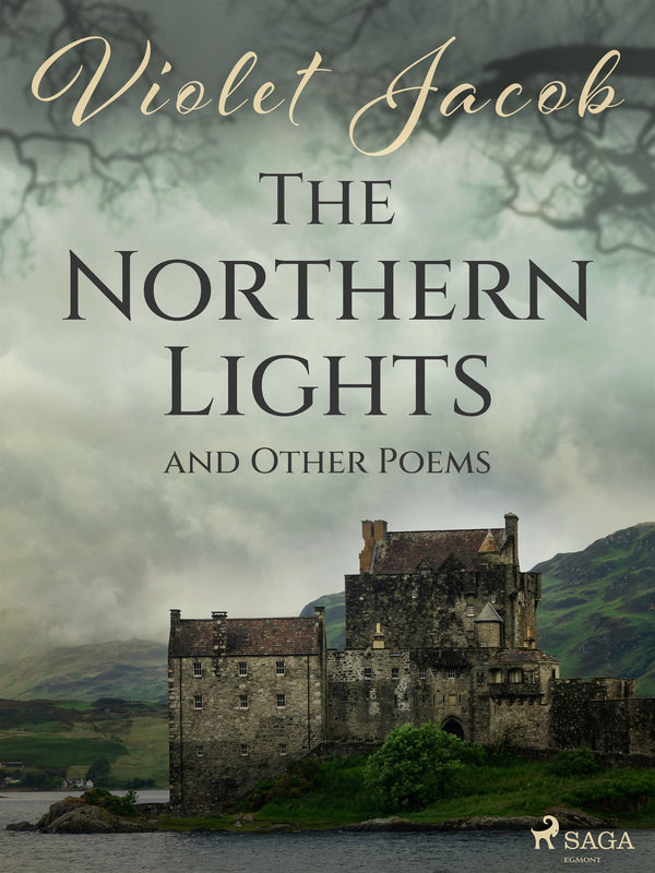 The Northern Lights and Other Poems – E-bok – Laddas ner-Digitala böcker-Axiell-peaceofhome.se