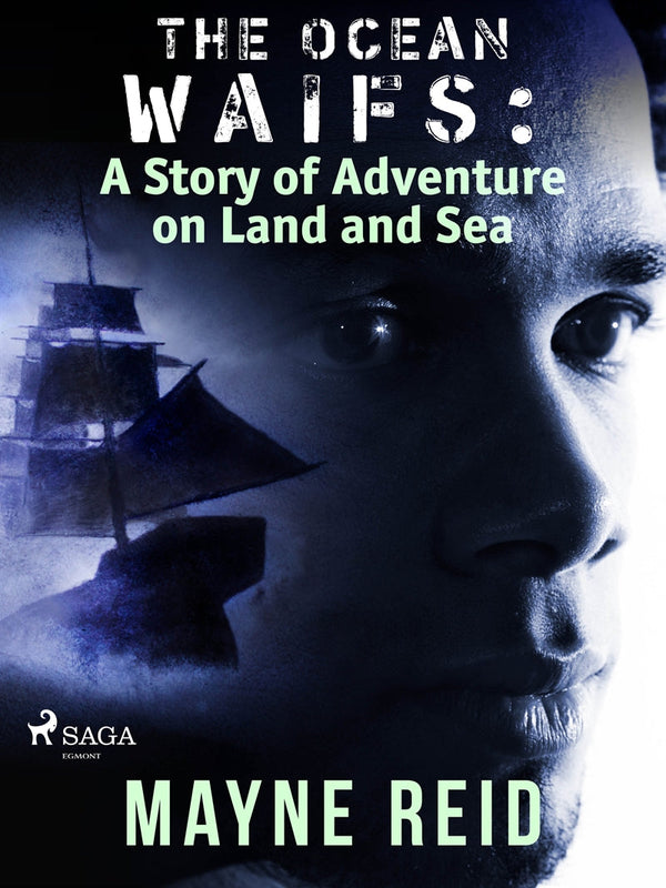 The Ocean Waifs: A Story of Adventure on Land and Sea  – E-bok – Laddas ner-Digitala böcker-Axiell-peaceofhome.se