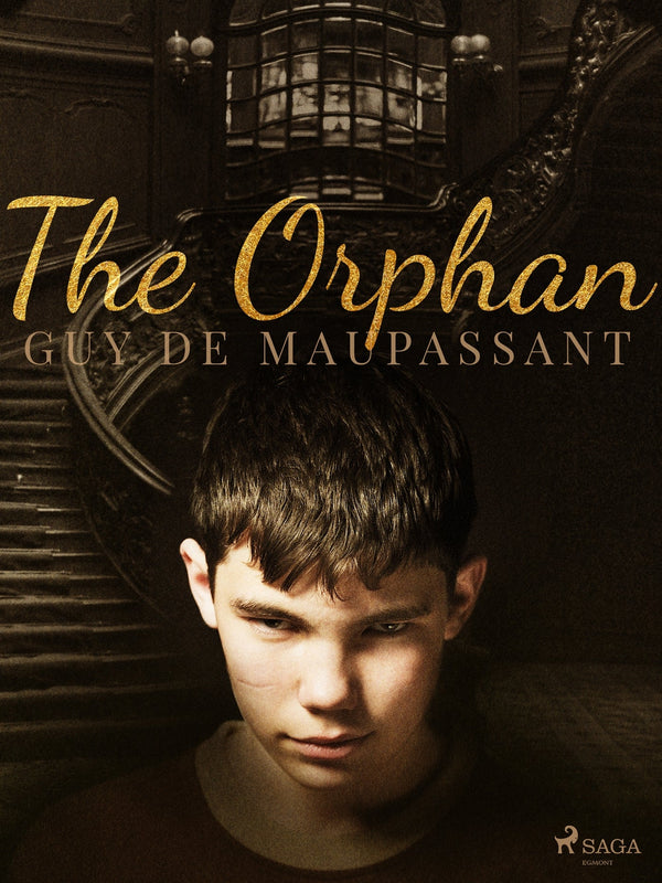 The Orphan – E-bok – Laddas ner-Digitala böcker-Axiell-peaceofhome.se