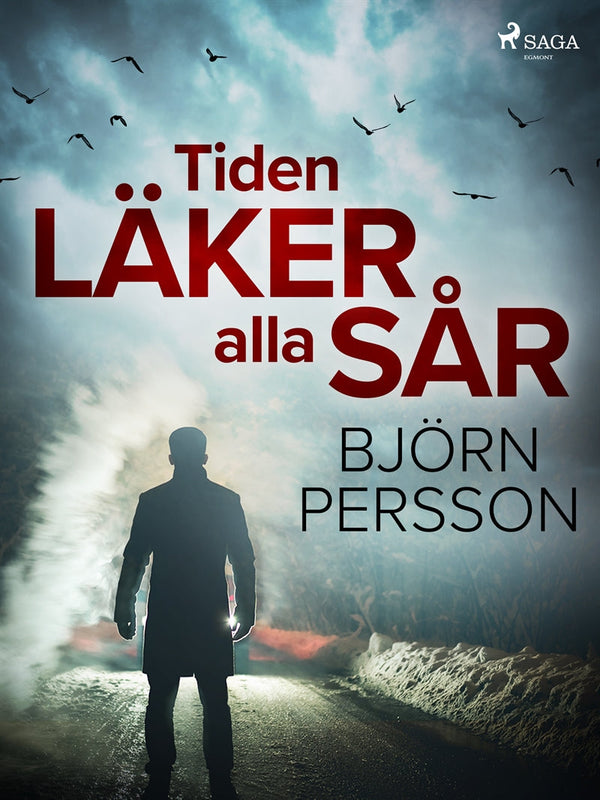 Tiden läker alla sår – E-bok – Laddas ner-Digitala böcker-Axiell-peaceofhome.se