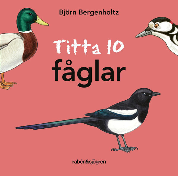 Titta 10 fåglar – E-bok – Laddas ner-Digitala böcker-Axiell-peaceofhome.se