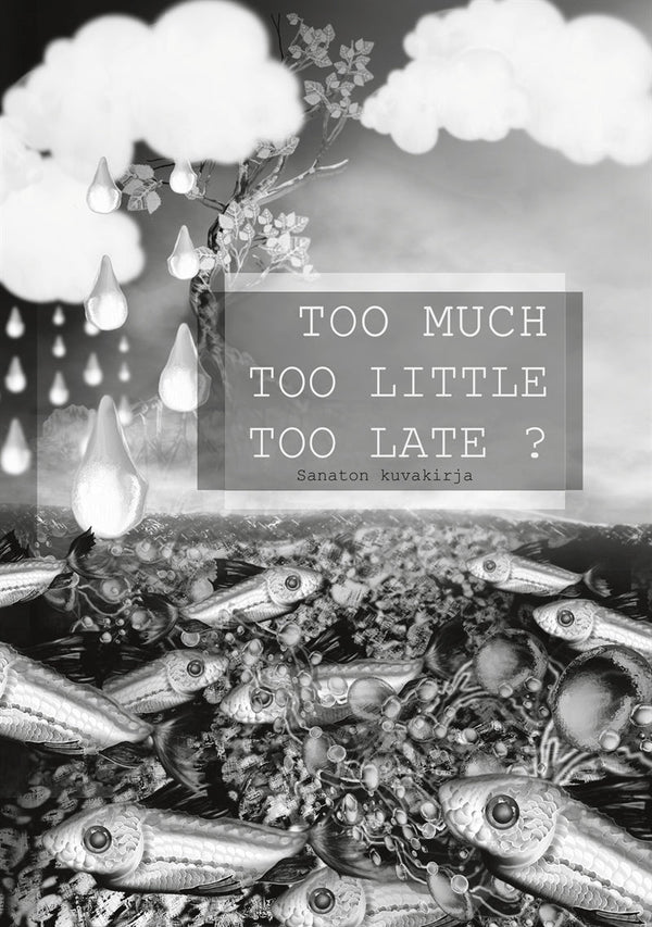 Too Much Too Little Too Late ?: Sanaton kuvakirja – E-bok – Laddas ner-Digitala böcker-Axiell-peaceofhome.se