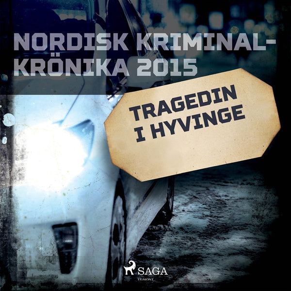 Tragedin i Hyvinge – Ljudbok – Laddas ner-Digitala böcker-Axiell-peaceofhome.se