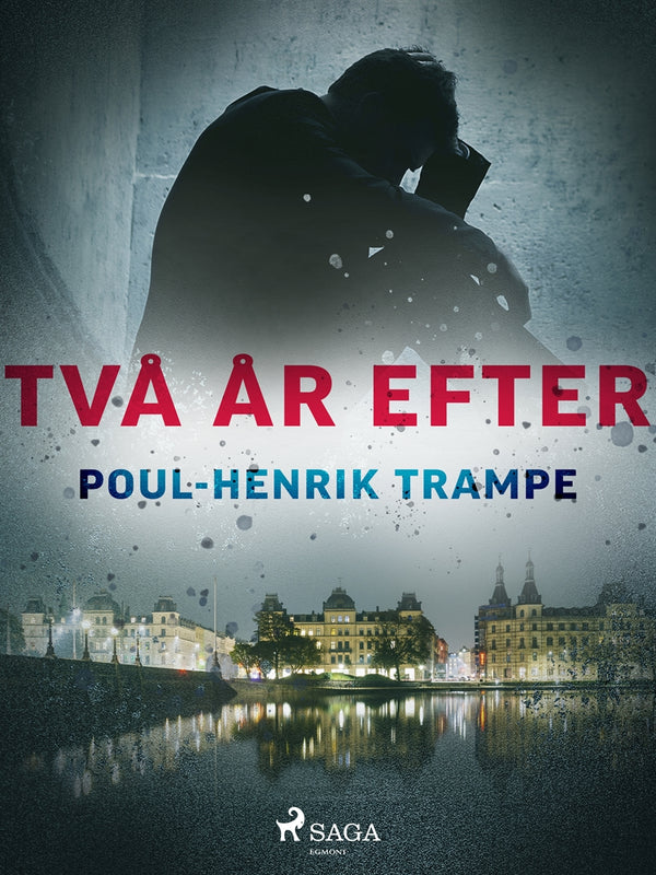 Två år efter – E-bok – Laddas ner-Digitala böcker-Axiell-peaceofhome.se