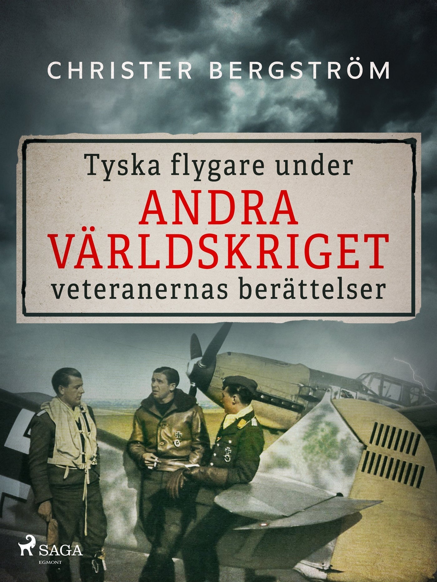 Tyska flygare under andra världskriget : veteranernas berättelser. Del 1 – E-bok – Laddas ner-Digitala böcker-Axiell-peaceofhome.se