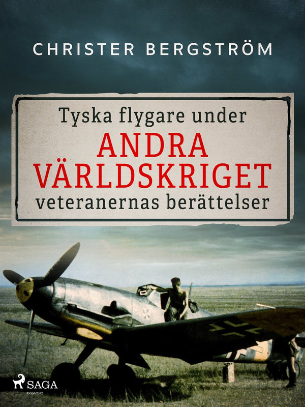 Tyska flygare under andra världskriget : veteranernas berättelser. Del 2 – E-bok – Laddas ner-Digitala böcker-Axiell-peaceofhome.se