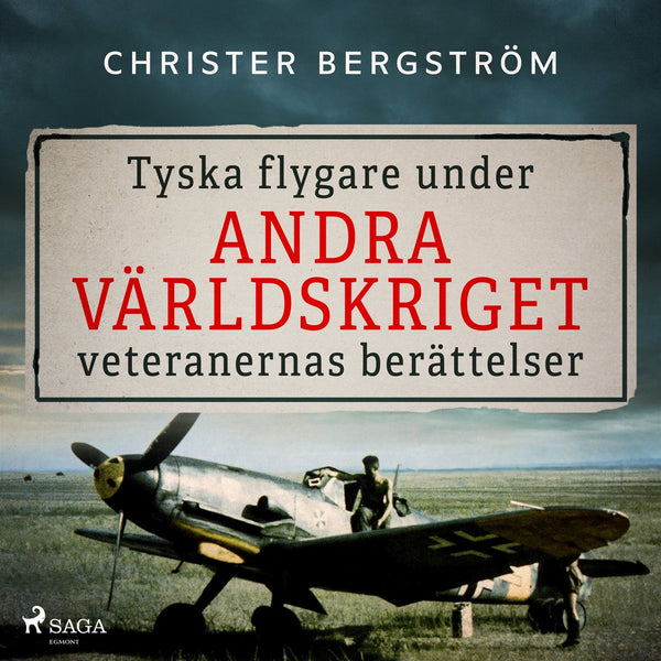 Tyska flygare under andra världskriget : veteranernas berättelser. Del 2 – Ljudbok – Laddas ner-Digitala böcker-Axiell-peaceofhome.se