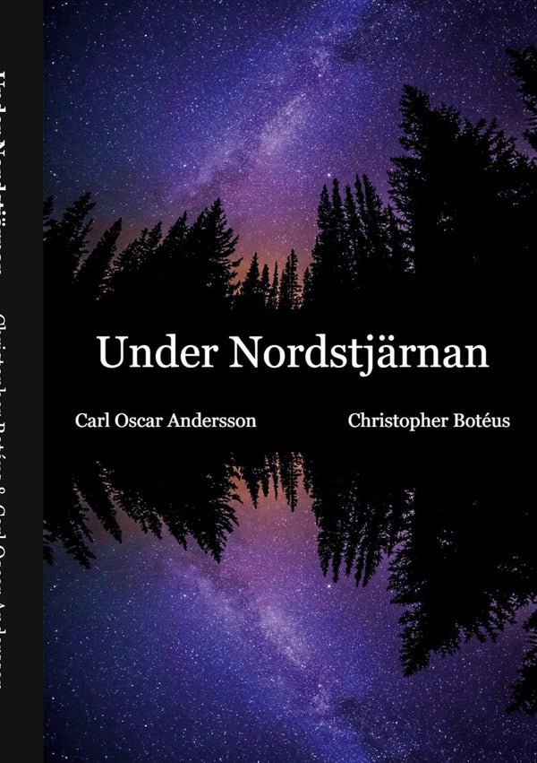 Under Nordstjärnan – E-bok – Laddas ner-Digitala böcker-Axiell-peaceofhome.se