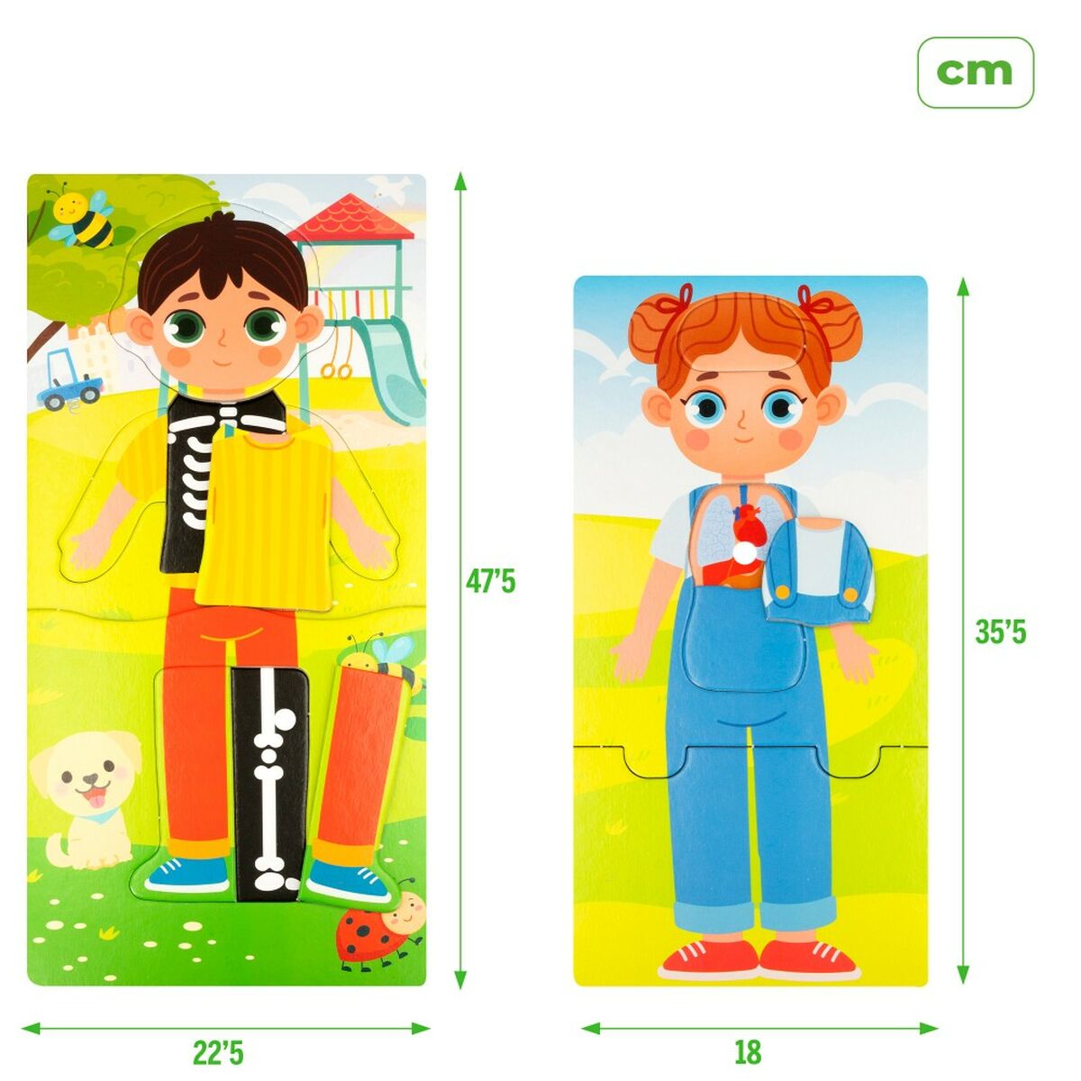 Utbildningsspel Lisciani Giochi Baby Doctor 22,5 x 0,5 x 47,5 cm (6 antal)-Leksaker och spel, Spel och tillbehör-Lisciani Giochi-peaceofhome.se