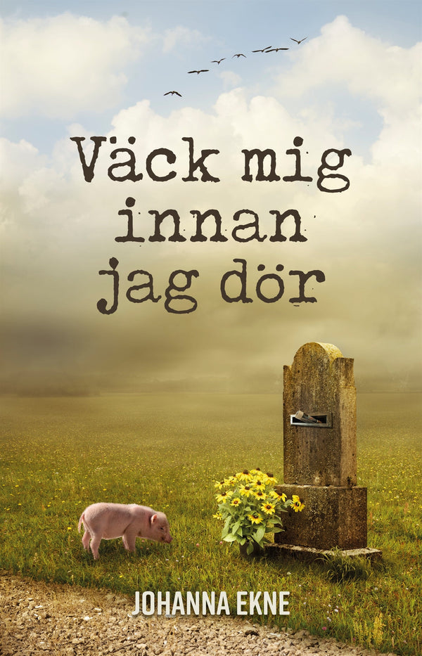 Väck mig innan jag dör – E-bok – Laddas ner-Digitala böcker-Axiell-peaceofhome.se