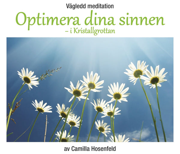 Vägledd meditation: Optimera dina sinnen – Ljudbok – Laddas ner-Digitala böcker-Axiell-peaceofhome.se