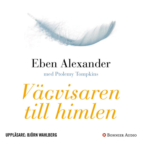 Vägvisaren till himlen : hur vetenskap, religion och vanliga människor påvisar att det finns ett liv efter döden – Ljudbok – Laddas ner-Digitala böcker-Axiell-peaceofhome.se