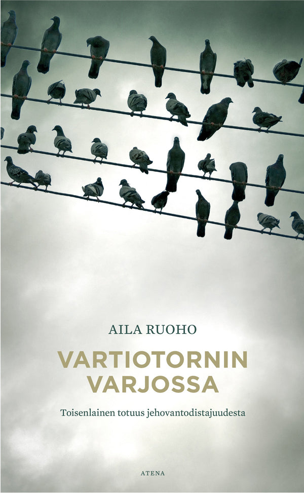 Vartiotornin varjossa – E-bok – Laddas ner-Digitala böcker-Axiell-peaceofhome.se