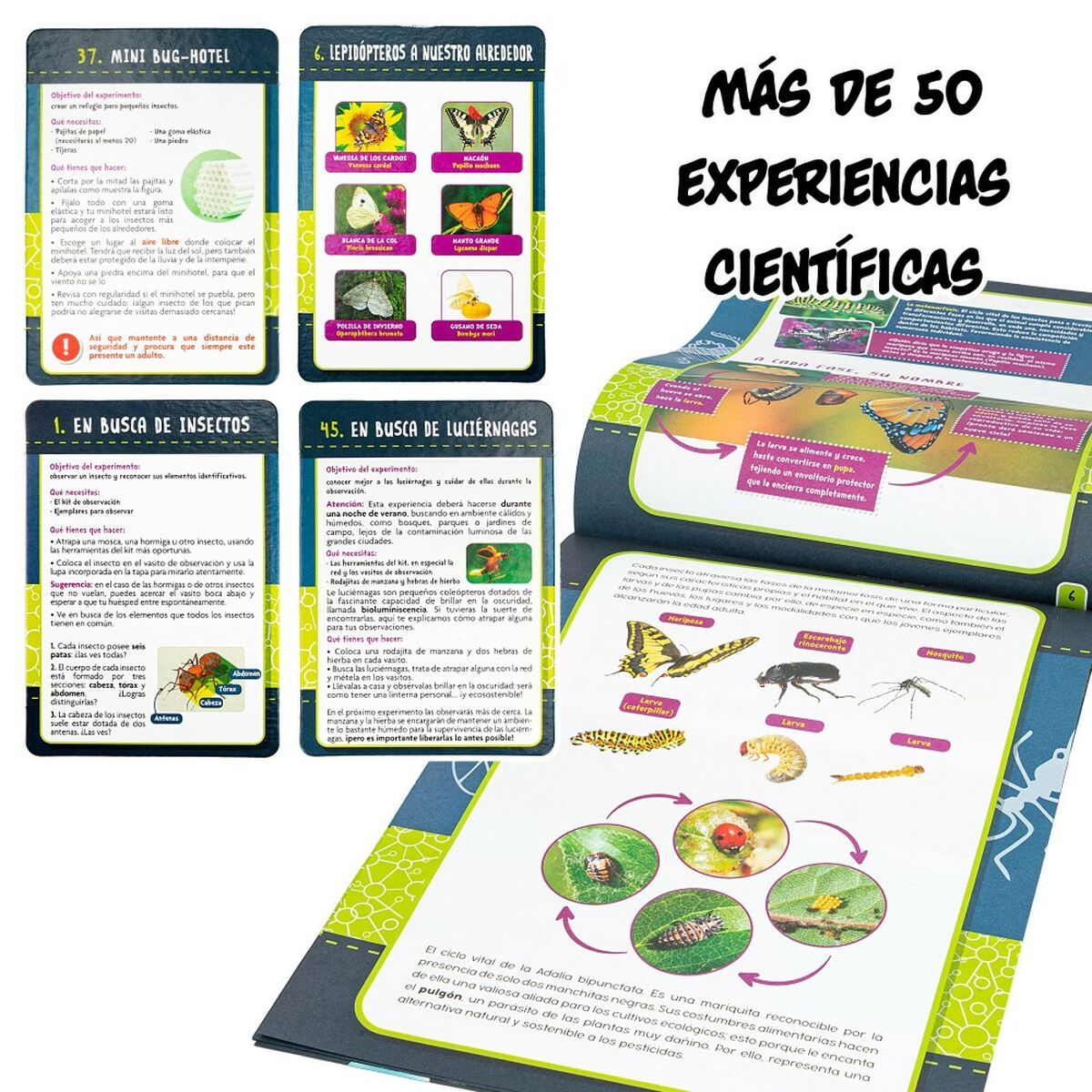 Vetenskapsspel Lisciani Insectos ES (6 antal)-Leksaker och spel, Lärande och utbildning-Lisciani-peaceofhome.se