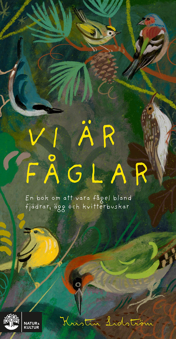 Vi är fåglar : En bok om att vara fågel bland fjädrar, ägg och kvitterbuskar - Digital - Laddas ner-Digitala böcker-Natur & Kultur Digital-peaceofhome.se