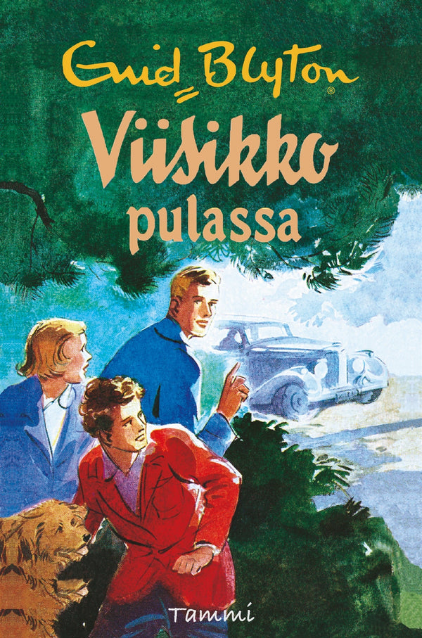 Viisikko pulassa – E-bok – Laddas ner-Digitala böcker-Axiell-peaceofhome.se