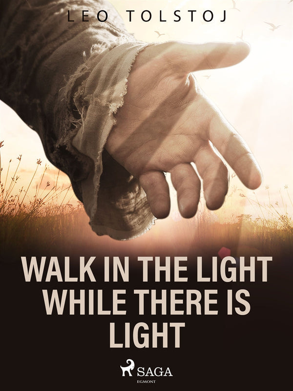 Walk In the Light While There Is Light – E-bok – Laddas ner-Digitala böcker-Axiell-peaceofhome.se